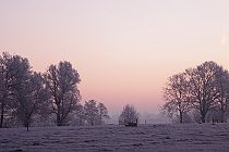 2013 Week 5 : Winters Valleikanaal (Leusden, 2009)