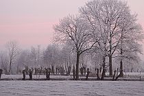 2013 Week 7 : Winters Valleikanaal (Leusden, 2009)