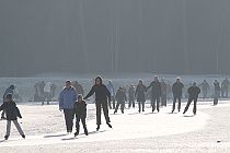 2013 Week 16 : Ijspret (Henschotermeer, 2009)