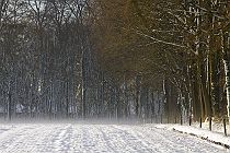 2013 Week 11 : Winters Hoevelaken (Hoevelaken, 2012)