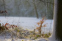 2013 Week 12 : Winters Hoevelaken (Hoevelaken, 2012)