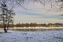 2013 Week 13 : Winters Hoevelaken (Hoevelaken, 2012)