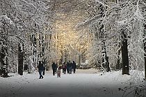 2013 Week 14 : Winters Hoevelaken (Hoevelaken, 2012)