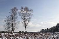 Week 4: Boswachterij Leersum (Leersum 2010)