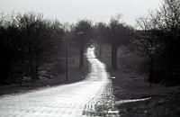 Week 39: Hondsrug bij Borger (Drenthe,1990)
