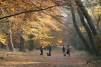 Week 24: Baarn (2003)