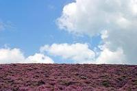 Week 22: Posbank (Gelderland 2004)