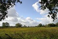 Week 21: Gasteren (Drenthe 2004)