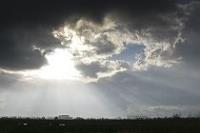 Week 50: Uiterwaarden (Amerongen 2006)
