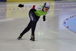 2013 / 003 - 375
