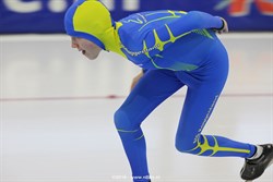 2015 / 005 - 260