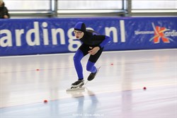 2015 / 005 - 333