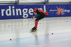 2015 / 005 - 348