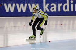2015 / 006 - 164