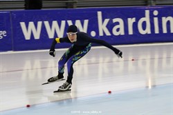 2015 / 006 - 209