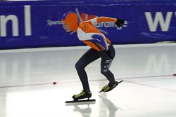 2015 / 006 - 225