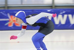 2015 / 006 - 377