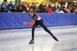 2015 / 007 - 196