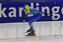 2015 / 007 - 392