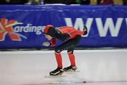 2015 / 008 - 204