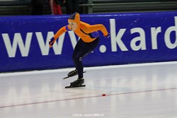 2015 / 008 - 285