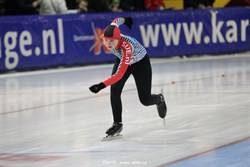 2015 / 008 - 295