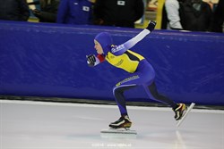 2015 / 008 - 419