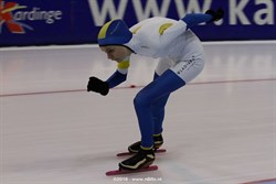 2015 / 009 - 291