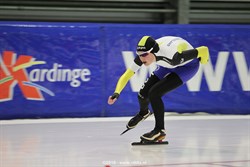 2015 / 009 - 338