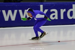 2015 / 009 - 378