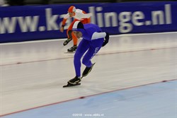 2015 / 010 - 061