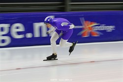 2015 / 010 - 236