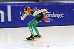 2016 / 006 - 334