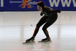 2016 / 006 - 342