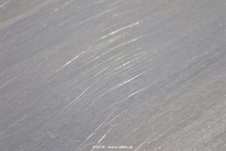 2016 / 007 - 045