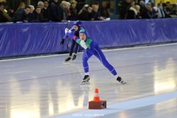 2016 / 008 - 223