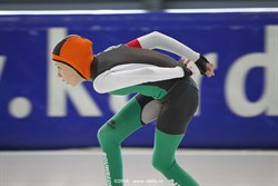 2016 / 008 - 232