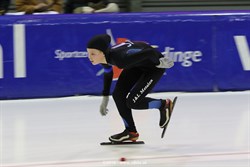 2016 / 009 - 335