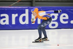 2016 / 010 - 008