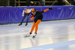 2016 / 010 - 081