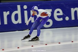 2016 / 010 - 210