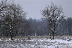 2019 / 005 - 002