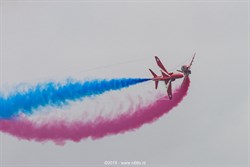 2019 / 101 - 304