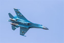 2019 / 129 - 239
