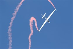 2019 / 124 - 368
