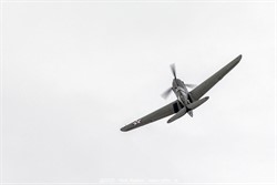 2025 / 200 - 005