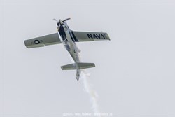 2025 / 192 - 393