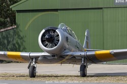 2026 / 207 - 186
